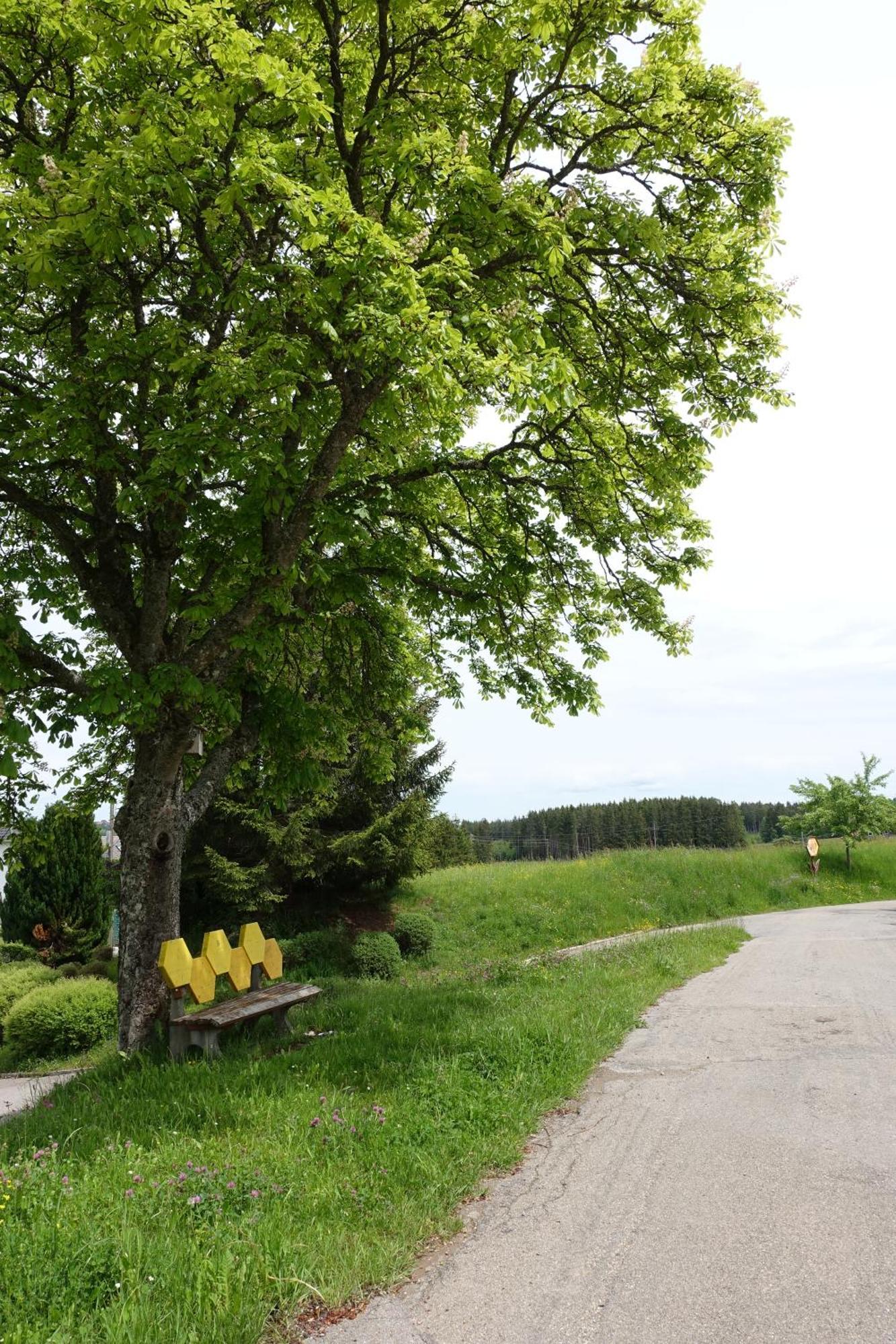 Blick In Den Garten Holzschlag المظهر الخارجي الصورة